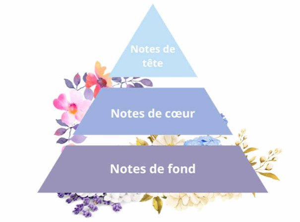 Pyramide olfactive